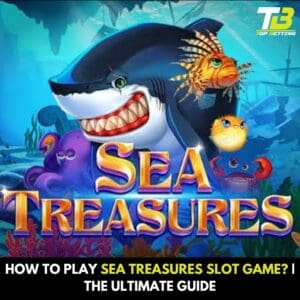 How to Play Sea Treasures Slot Game
