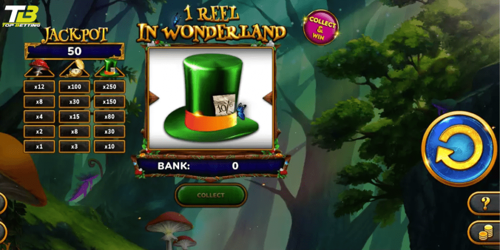 Common Mistakes to Avoid While Playing 1 Reel in Wonderland