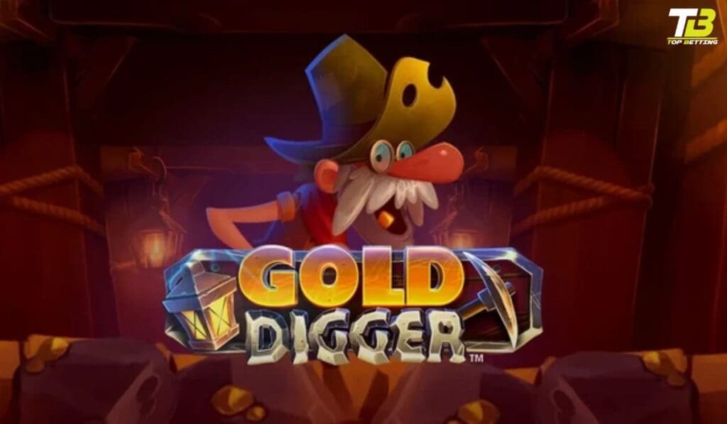 How to Play Gold Digger Slot?