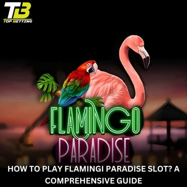 How to Play Flamingi Paradise Slot