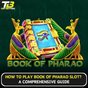 How to play Book of Pharao Slot