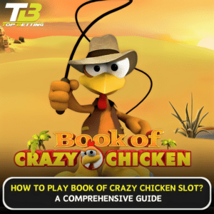 How to play Book of Crazy Chicken