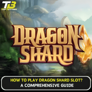How to play Dragon Shard Slot